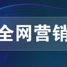 网络推广、网络营销与网络技术服务 构建数字化时代的商业引擎